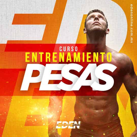 Curso Entrenamiento con Pesas Online
